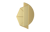 Picture of SOMRIE事務局
